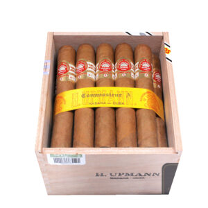 H.Upmann Connoisseur A