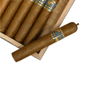 Cohiba behike 54