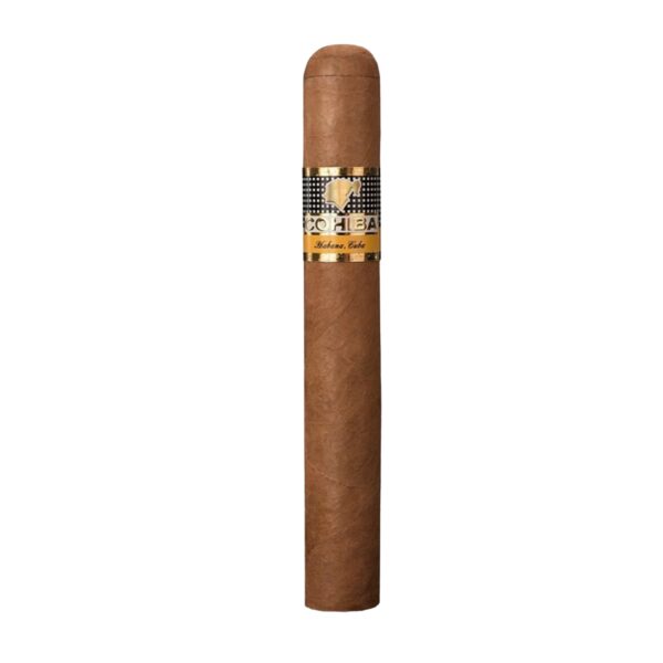 Cohiba Siglo VI - Image 3
