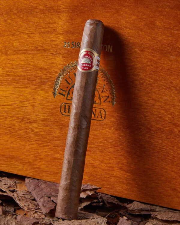 H.Upmann Sir Winston - Image 2