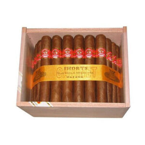 Partagas Shorts